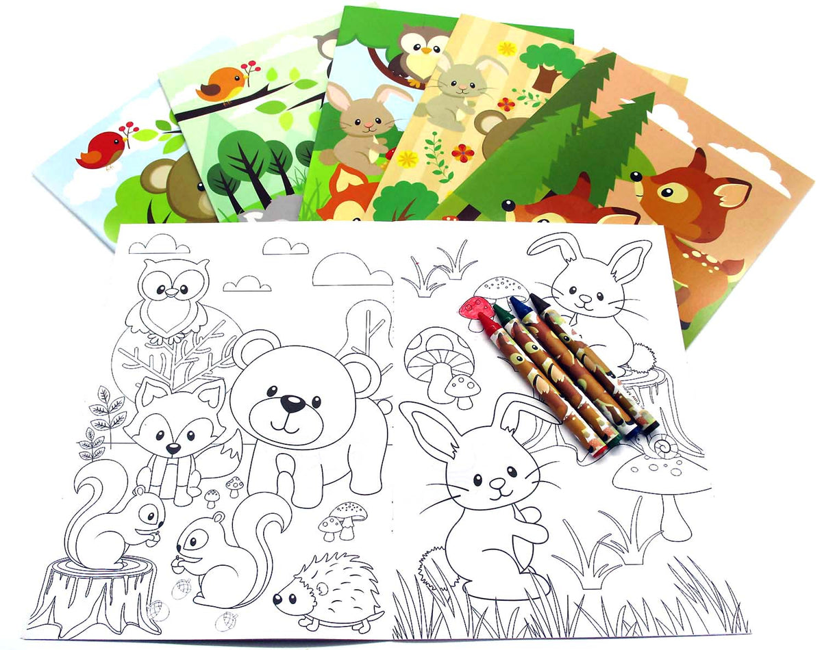 Animal Coloring Books with Crayons Party Favors - Set of 6 or 12 – Tiny  Mills®