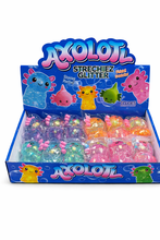 Load image into Gallery viewer, 12 Pc Glitter Axolotl Squishy Toys Display – Kids Party Favors &amp; Prizes